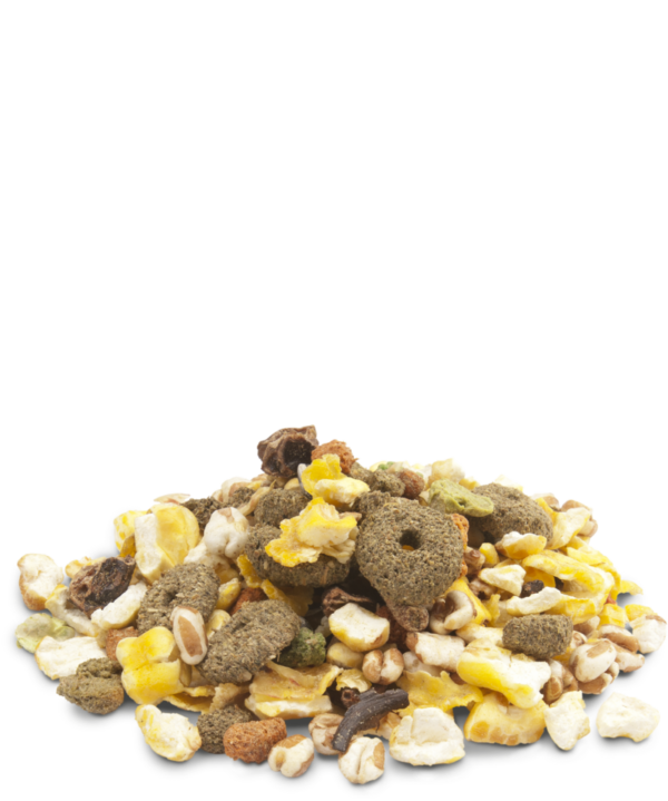 Crispy - Snack Popcorn - 650g – Image 2
