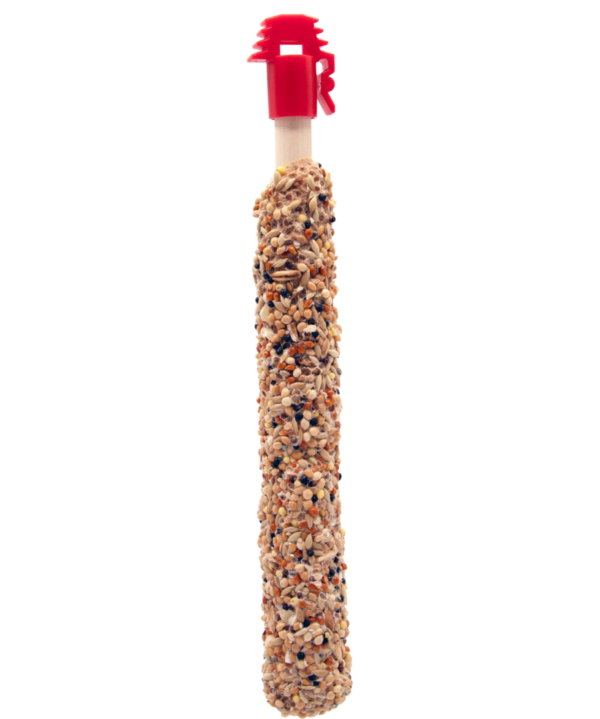 STICKS PETITS PERROQUETS AVEC NOIX & GARNITURE DE RAISINS – Image 2