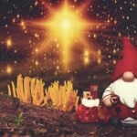 gnome, christmas card, gift bag